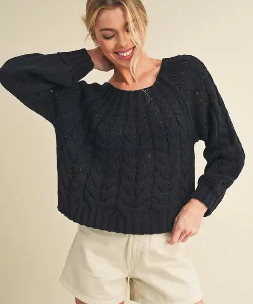 2da50039-fb2b-43eb-937b-799cb72b4677-Max.jpg Aemi + Co Cable-Knit Openwork Round Neck Sweater