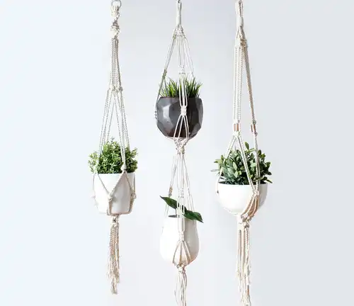 Plant Hanger, Macrame Plant Holder